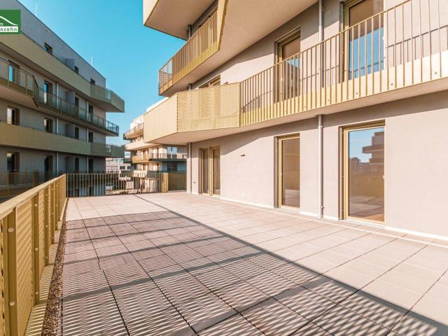 Größer geht's kaum – riesige Terrasse im provisionsfreien Erstbezug mit energieeffizienter Erdwärme!