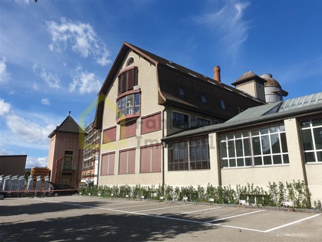 Grosser Gewerberaum