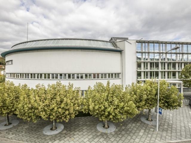 Grosser Lagerraum in Adliswil zu vermieten