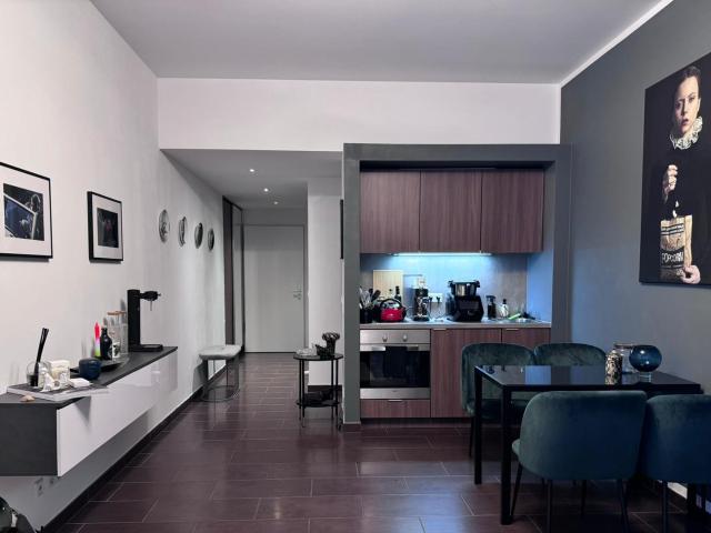Großes Apartment, Möbiliert, im Zentrum Münchens ab 01.08.26 zu vermieten