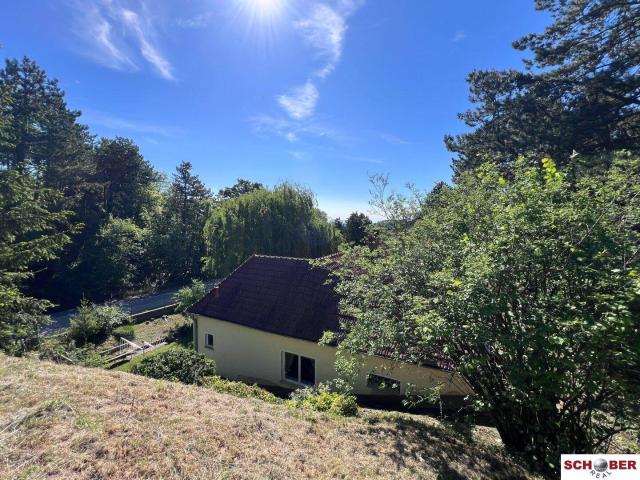 Großes Grundstück mit Haus in außergewöhnlicher Waldrandlage