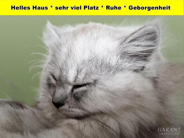 Großes Haus * 8 Zimmer * ELW * ruhige Lage