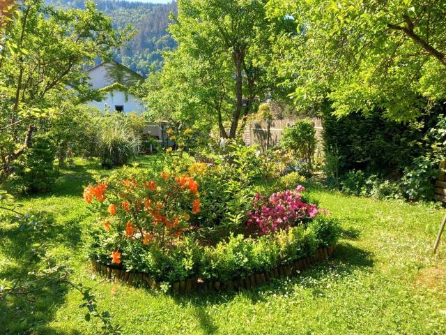 großes Haus in Traben Trarbach Mosel ideal für Praxis und Geschäf
