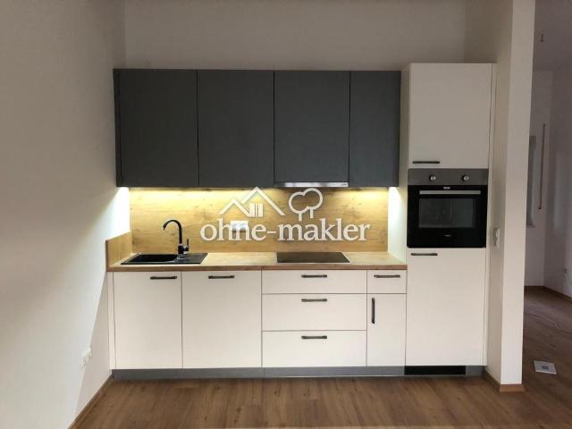 Großes helles Apartment mit Balkon zu vermieten