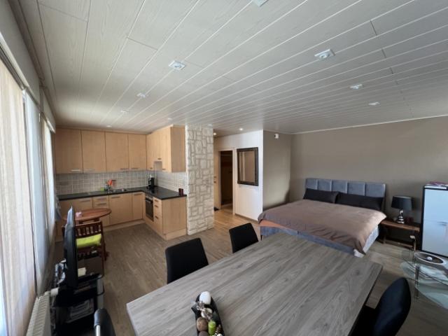 Großes, vollständig renoviertes Studio Apartment nahe dem Zentrum Montanas