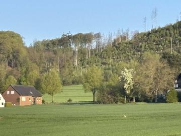 Oberbauerschaft, Hüllhorst, Osnabrücker Land, Nordrhein-Westfalen