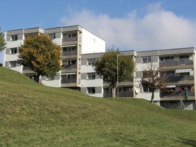 Grosses 4½ Zimmer Haus in Gehweite zu öffentlichen Verkehrsmitteln und Einkaufszentren