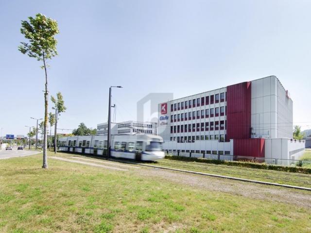 GROSSZÜGIG MIT VIELEN TIEFGARAGENPARKPLÄTZEN