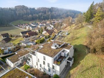 Stallikon, Bezirk Affoltern, Kanton Zürich