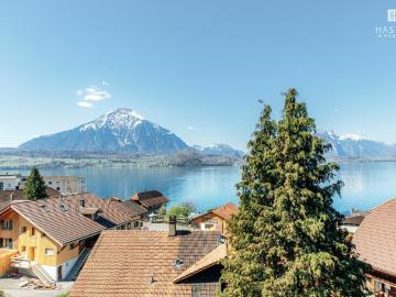 Grosszügige 4½ Zi Dachwohnung mit See und Bergsicht