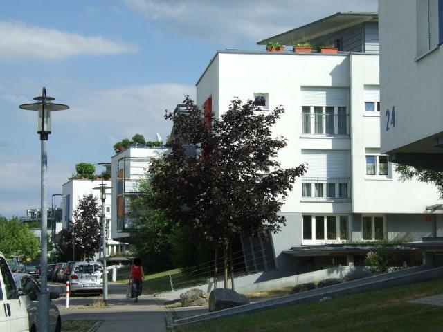 Großzügige 4 Zimmer Wohnung mit Terrasse!