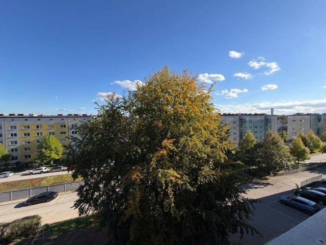 Großzügige 4 Zimmer Wohnung in Linz – frisch renoviert, vielseitig nutzbar und mit idealem Grundriss inkl. PKW Stellplätze nutzbar