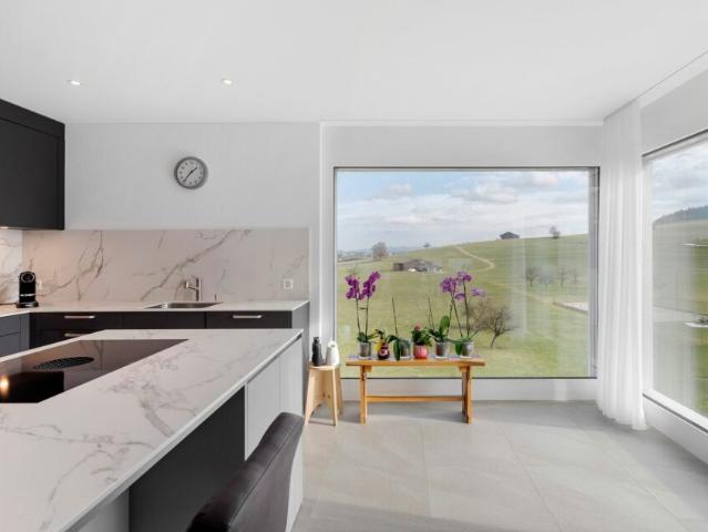 Grosszügige 4.5 Zimmer Attika mit Blick in die Natur