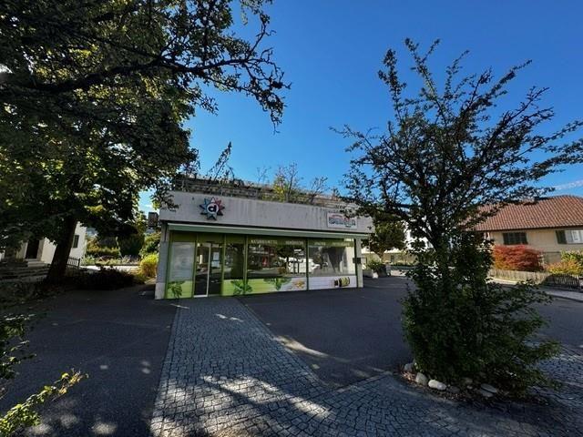 Grosszügige 5,5 Zimmer Wohnung zu vermieten
