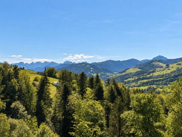 Grosszügige 6.5 Zi. Neubauhäuser mit traumhafter Aussicht