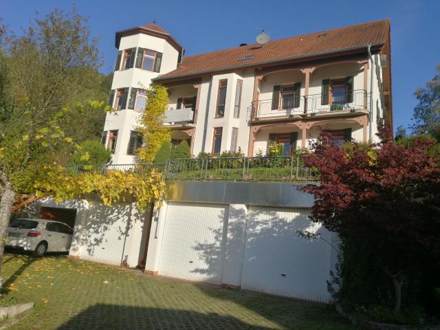 Großzügige 154qm Wohnung in Erlenbach mit Burgblick