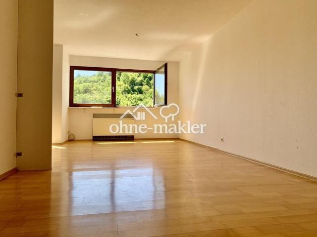 Großzügige 1 Zimmer Wohnung mit großem Balkon und traumhaften Blick auf die Weinberge