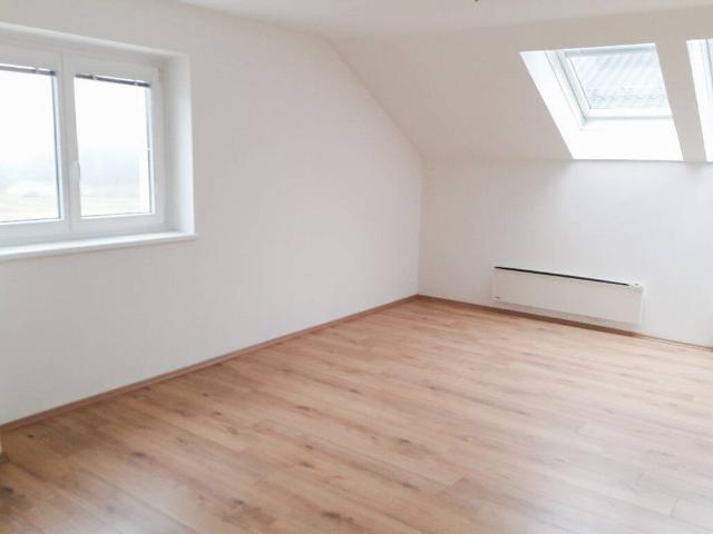 Großzügige 1 Zimmerwohnung im Dachgeschoss