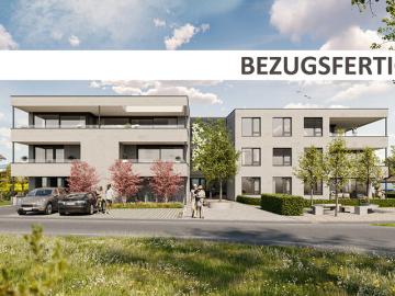 Hard, Bezirk Bregenz, Vorarlberg - Garten