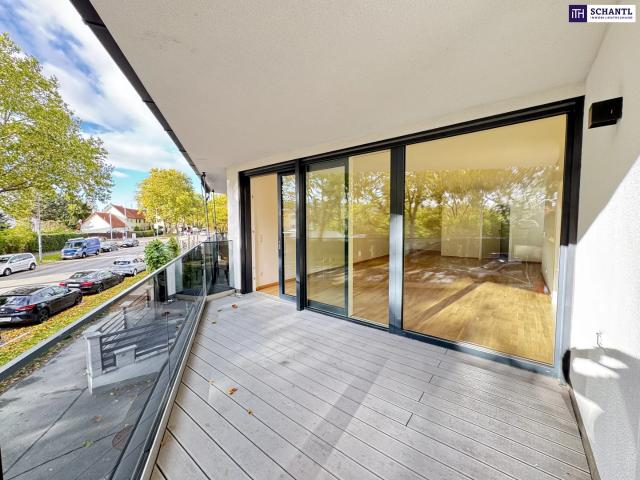 Großzügige 2 Zimmer Wohnung mit luftiger Wohnküche und großem Balkon frisch renoviert!