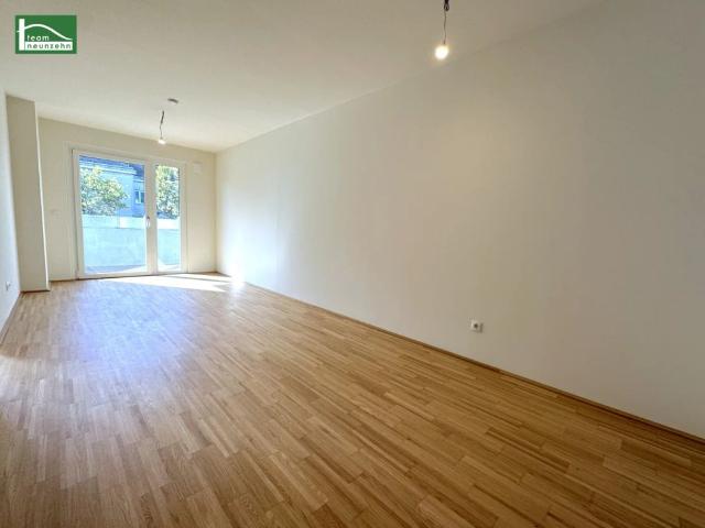 Großzügige 2 Zimmer Wohnung in toller Lage nahe der Donau Ab sofort beziehbar!