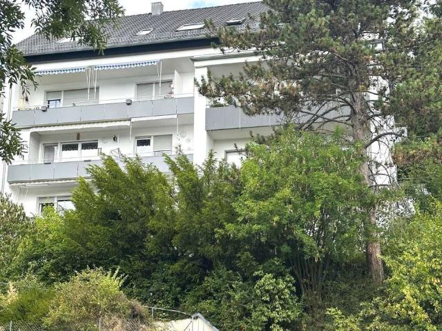 Großzügige 3 Zim. Wohnung mit zwei Balkone und schönem Ausblick