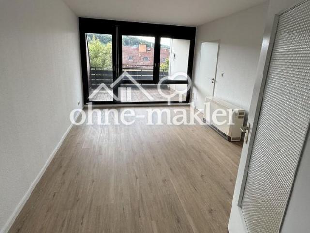 Großzügige 3 Zimmer Wohnung mit Balkon renoviert