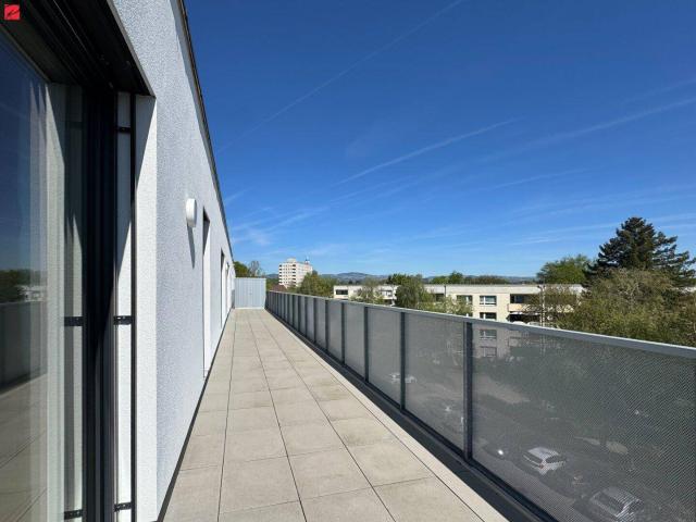 Direkter Terrassenzugang von jedem der drei Zimmer
