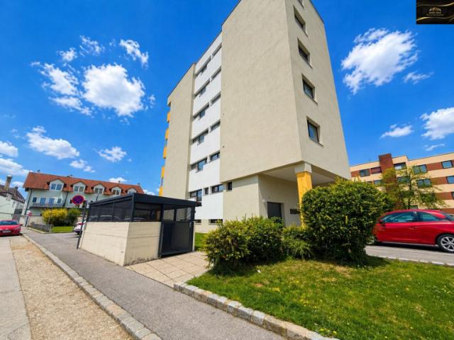 Großzügige 3 Zimmer Wohnung nahe Panoramapark