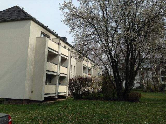Großzügige 3,5 Raum Wohnung im Grünen