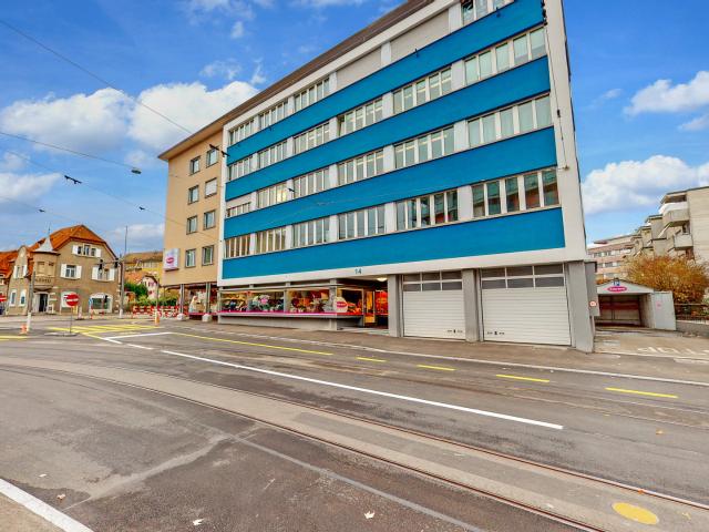 Grosszügige und helle Wohnung an zentraler Lage
