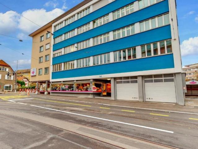Grosszügige und helle Wohnung an zentraler Lage