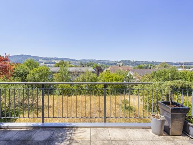 Grosszügige Wohnoase mit Weitsicht und Terrasse am Hallwilersee