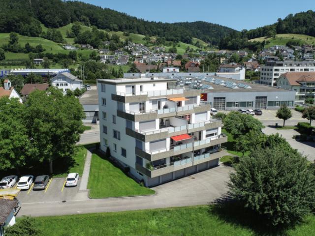 Grosszügige Wohnung mit Weitsicht zentral in Neibkon