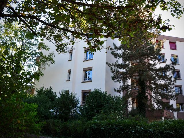 Grosszügige Wohnung mit Cheminée