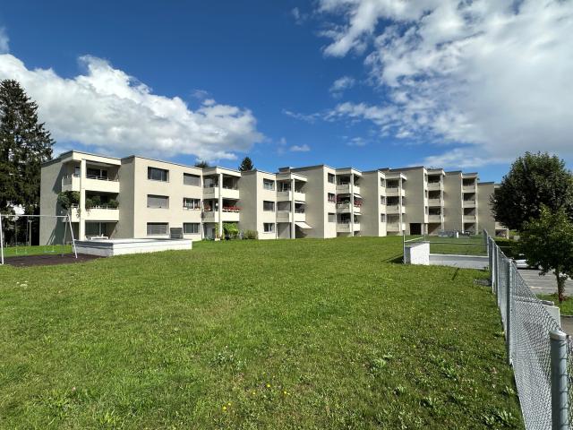Grosszügige Wohnung nähe Limmat
