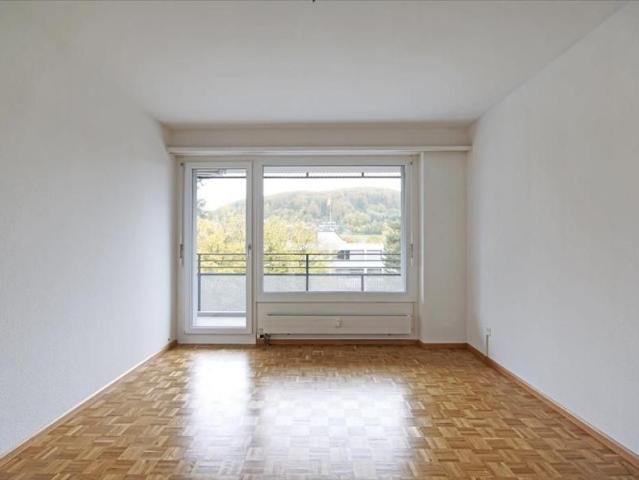 Grosszügige Wohnung im Grünen
