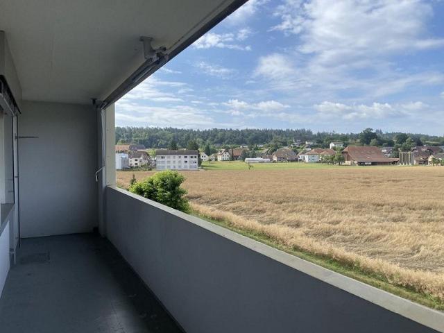 Grosszügige Wohnung im Seeland!