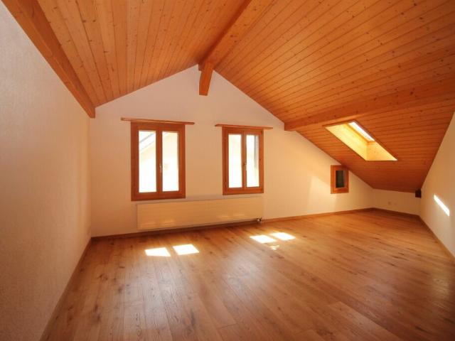 Grosszügige Dachwohnung im 3 Familienhaus