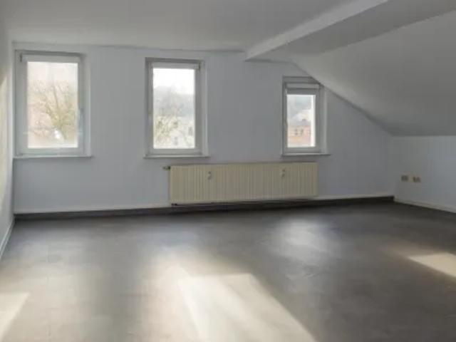 Großzügige Dreiraumwohnung in der Greizer Neustadt