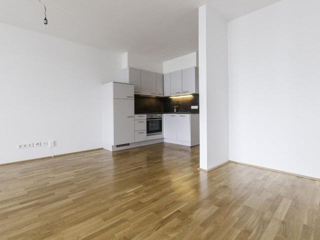 Großzügige Kleinraumwohnung in Innenstadtnähe