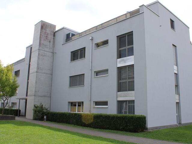 grosszügige, schöne Dachwohnung mit Terrassen