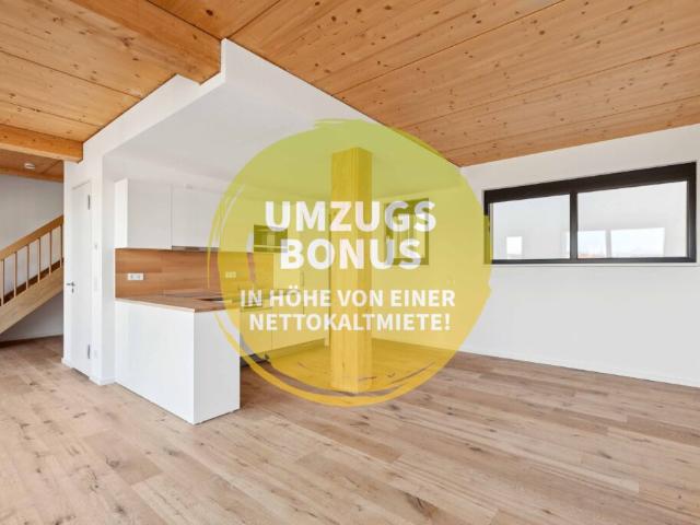 Großzügiges 3 Zimmer Apartment für Paare – Lichtdurchflutet & modern