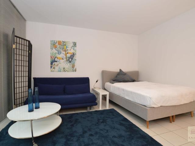 Großzügiges 1 Raum Apartment in Oberkassel, mit Garagenstellplatz!