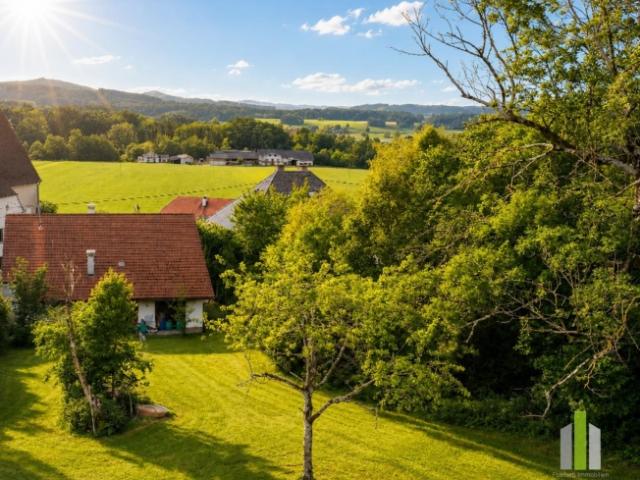 Großzügiges Grundstück mit Altbestand in sonniger Südwestlage
