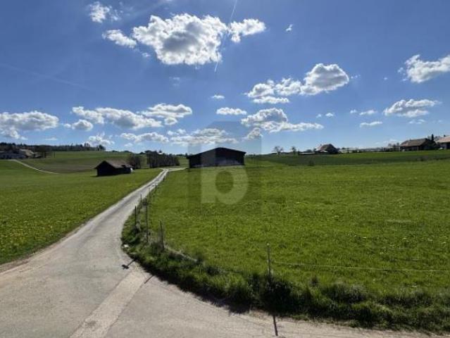 Grosszügiges duplex mit balkon ruhige lage