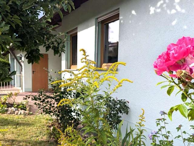Großzügiges Einfamilienhaus mit Einliegerwohnung und Garage