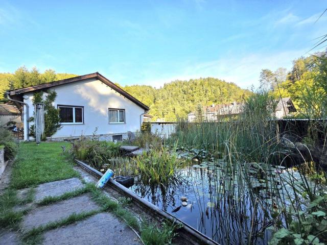 Großzügiges Einfamilienhaus mit großem Garten und Teich!