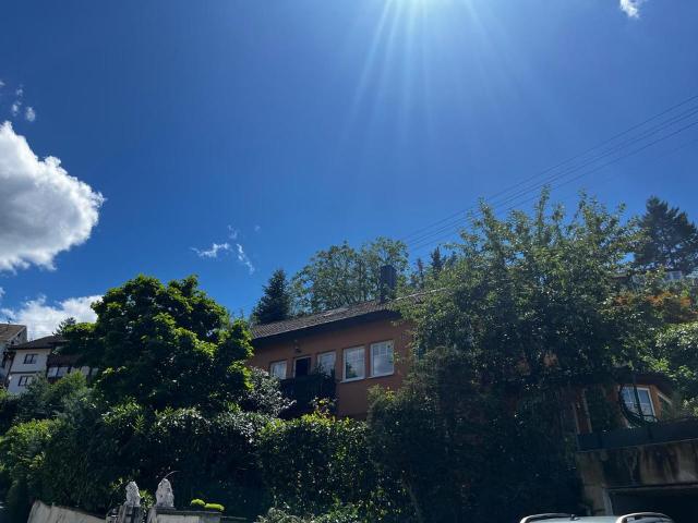 Großzügiges Einfamilienhaus im Grünen in Baden Baden Varnhalt