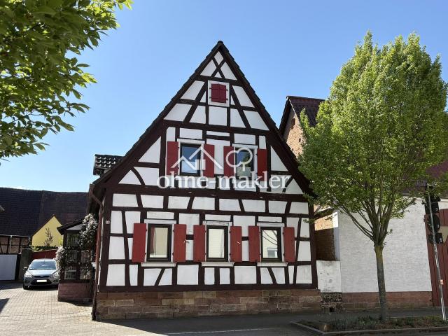 Großzügiges Haus mit Apartment, Scheune & möglichem Bauplatz Nähe Speyer
